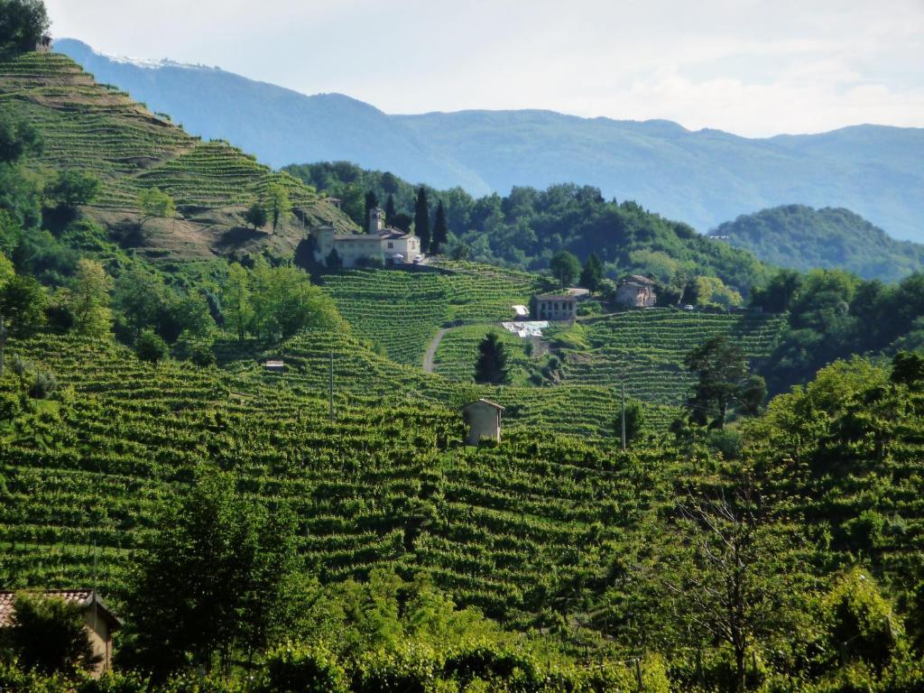 Locanda Ai Archi Di Andreola Monica ファッラ・ディ・ソリーゴ エクステリア 写真